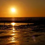 Het Kievit\'S Nest