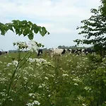 Het Kievit\'S Nest
